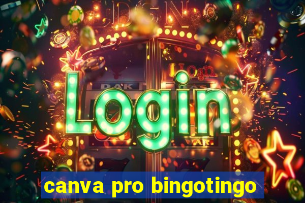 canva pro bingotingo